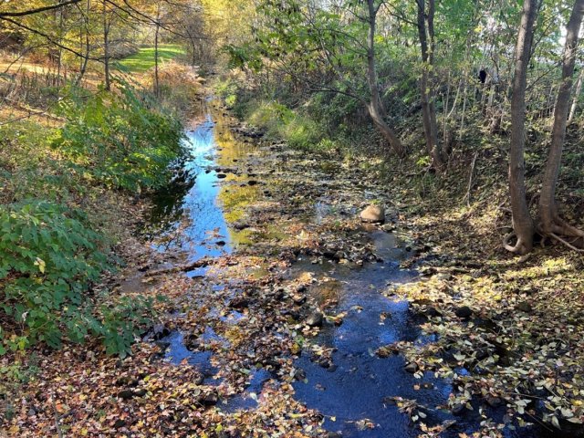 Photo of Leslie Run looking west.