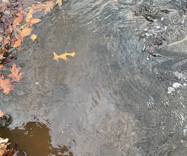 Water from a creek with no sheen