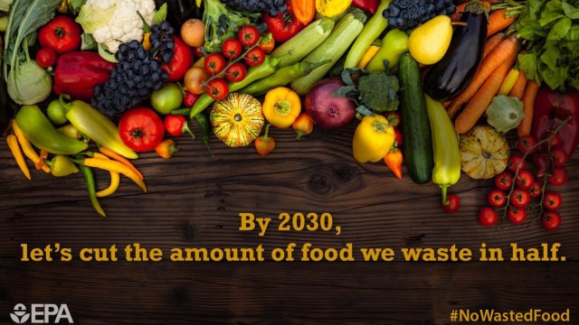 graphic of vegetables and fruits on table with these words above them: "By 2030: Let's cut the amount of food we waste in half"