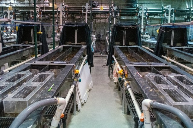 The high bay at EPA’s Experimental Stream Facility.