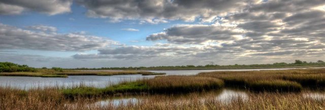 TX Marshes 2