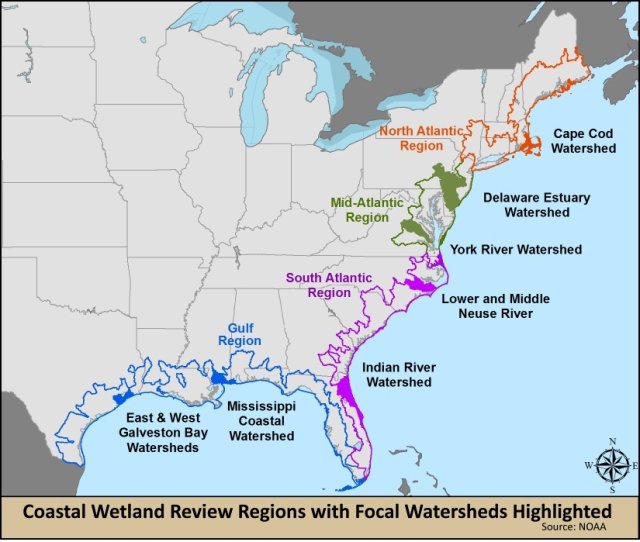 Map showing the watersheds used in the four coastal wetland reviews.