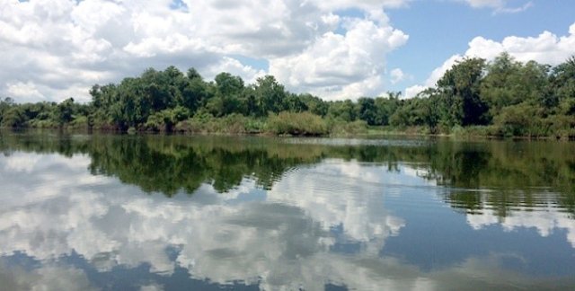 Stream by a forest, with the clouds reflected in the water