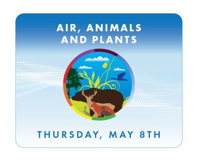 Air, Animals, and Plants, Thursday, May 8th
