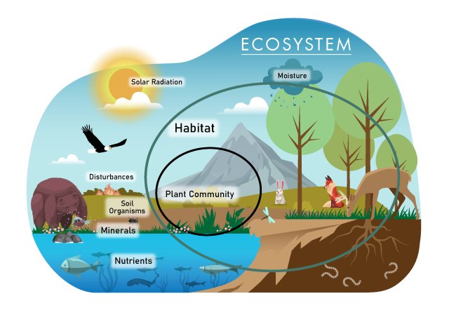 Ecosystem habitats