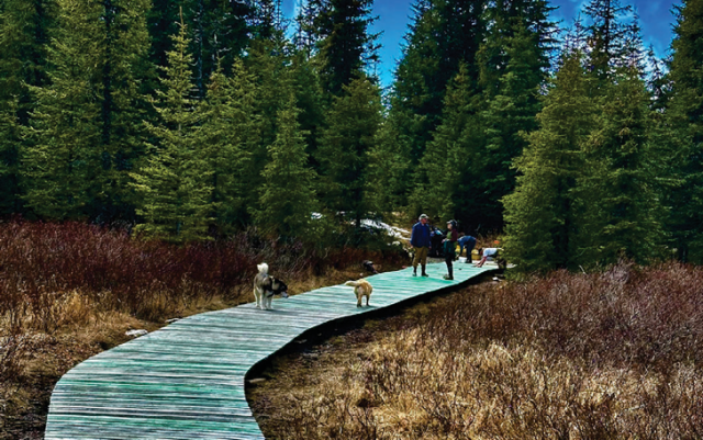 Walking trail made from Grizzlywood