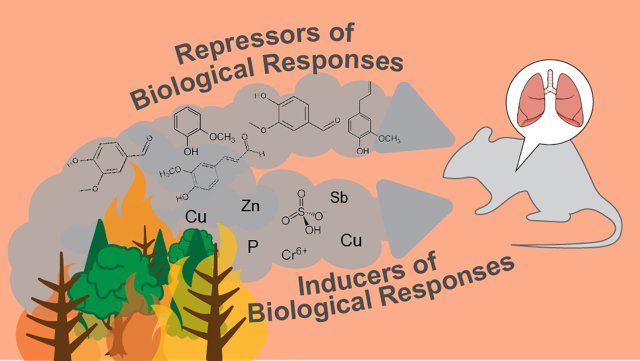 Mixtures-based approaches can identify groups of chemicals in wildfire smoke and the associated biological responses in the mouse lung show both potential drivers and inhibitors of toxicity. Source: graphical abstract in journal article.