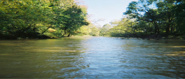Choccolocco Creek at the Anniston PCB site.