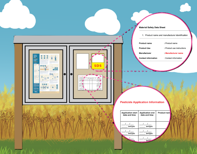 Central Location Sample