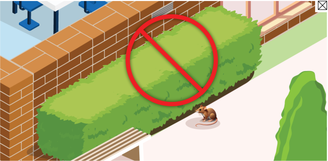 A hedge against a school wall with a prohibition sign over it