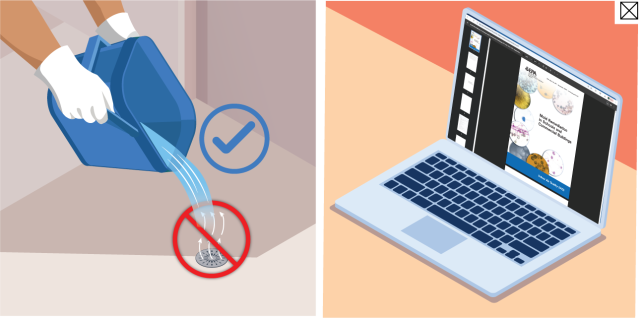 A person pouring water down a floor drain and a laptop screen showing EPA's mold guidance