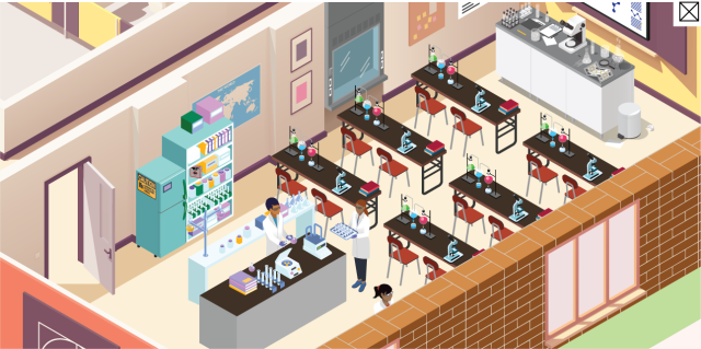 A school laboratory with lab benches and chemistry equipment