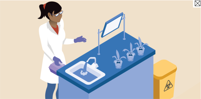 A lab bench with a sink and student wearing a lab coat, gloves, and glasses