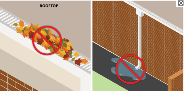 A school rooftop with leaves clogging the drainage and a downspout from the roof that is not directing water away from the school exterior.
