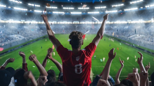 Cheering soccer fan