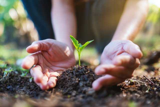 hands holding soil