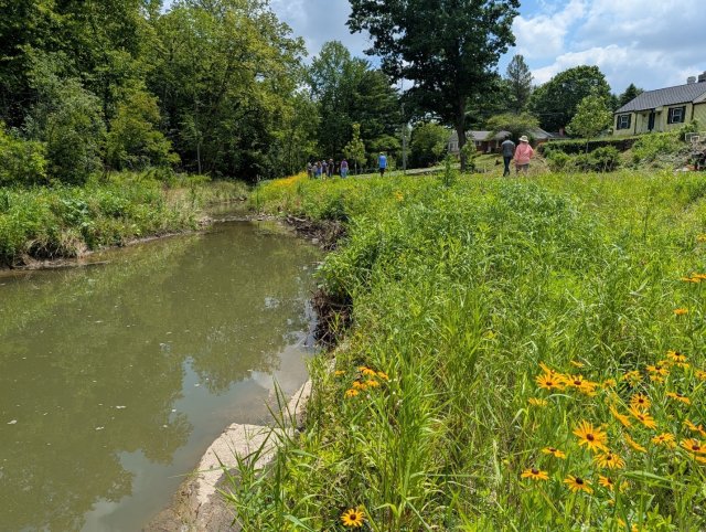 Restored stream after construction with surrounding vegetation.&nbsp;