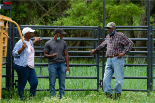 Farmers talking