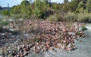 Debris and overgrown plants at Goodyear Tire and Rubber Co. site