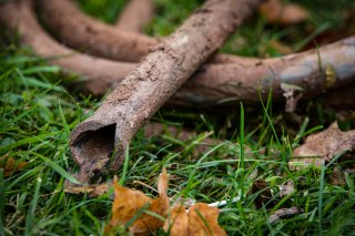 Lead pipe in grass