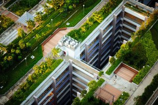 Green building with trees and shrubs on rooftop