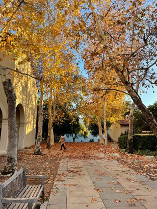 Pomona college campus with fall leaves