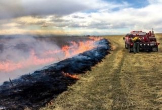 Photograph showing a prescribed burn of plant debris