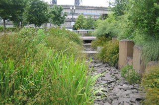 Rocky path with green borders