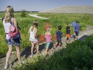 Children walking in a field