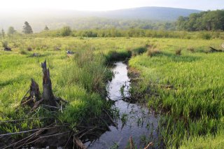 Image of a stream flowing through a grassy plain with mountains and fog in the background.