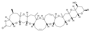 Brevetoxins chemical structure