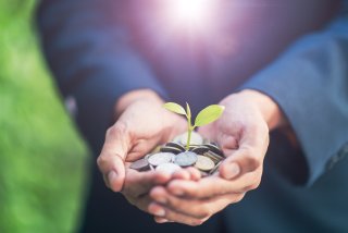 Person holding handful of coins with tree sprouting from it