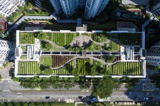 aerial view of a green rooftop