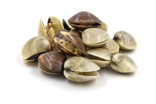 A pile of raw clams.