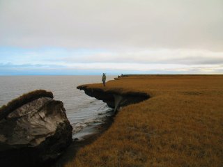 Person standing on eroding permafrost coast.