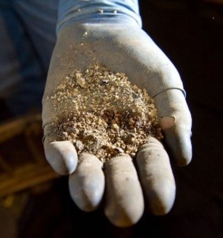 surgical-glove-covered hand with a sample of soil in the palm