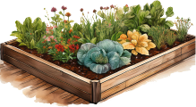 Graphic image of raised garden bed full of plants and veggies