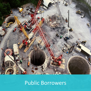 Materials for public borrowers