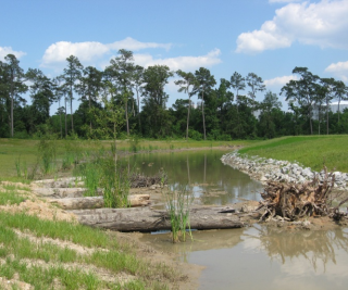 A photograph of a stream with grass on either side and logs in the water.