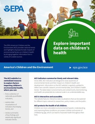 Preview of the ACE factsheet pdf