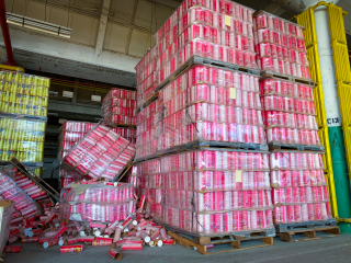 Several toppled-over pallets of “Heavy Weight Multi-Insect & Fire Ant Killer” balance precariously amid stacks of insecticide containers, reaching to the ceiling of a tall warehouse.