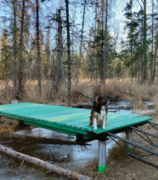 Part of a bridge made out of Grizzlywood