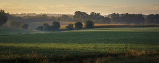 Sunrise over farm fields