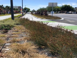 San Pablo Green Streets Project (Photo/San Francisco Bay Program)