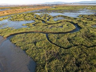 Left: Pond A-21 of the South Bay Salt Ponds in 2006, pre-restoration. Right: the same pond in 2014, post-restoration.  (Photo/ South Bay Salt Pond Restoration Project)