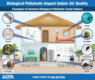 an infographic depicting biological contaminants