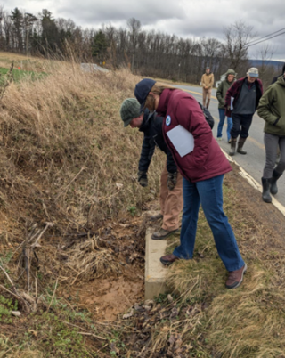 People are seen looking at something on a farm alongside a roadway.