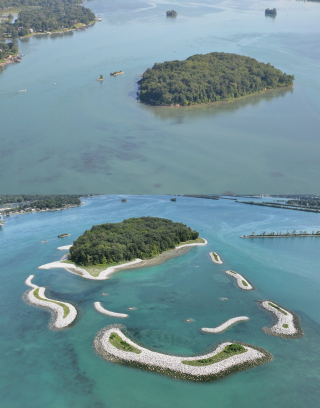 An aerial comparison of Sugar Island shows a natural wooded island before restoration and, after restoration, including curved rock shoals surrounding the shoreline in bright blue water.