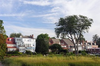 Small community with tree