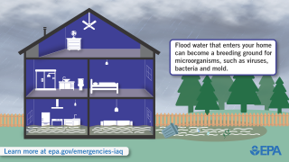 An Emergency Event House depicting Flooding